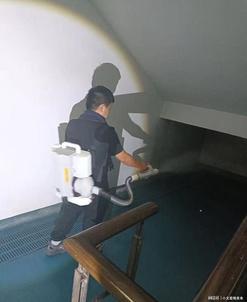 專(zhuān)業(yè)白蟻防治與圖文設(shè)計(jì) 杭州白蟻防治消殺中心服務(wù)指南